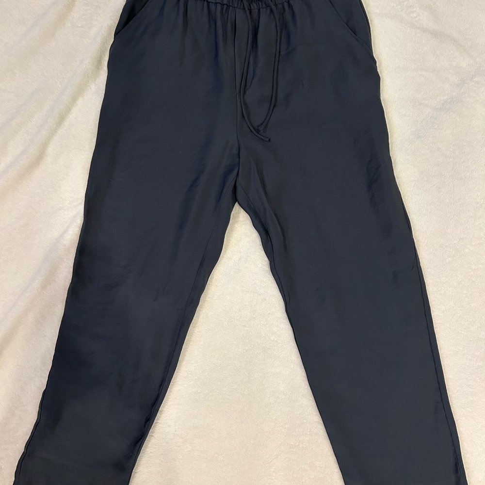 Zara Women’s Navy Sandwashed Silk Pants